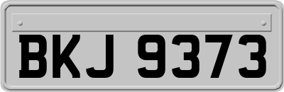 BKJ9373