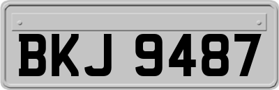 BKJ9487