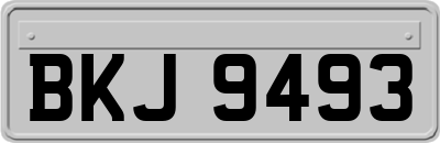 BKJ9493