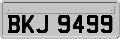 BKJ9499