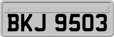 BKJ9503