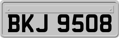 BKJ9508