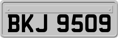 BKJ9509