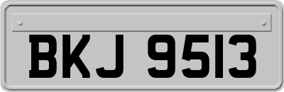 BKJ9513