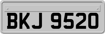 BKJ9520
