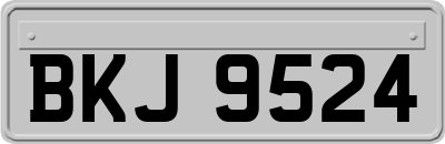 BKJ9524