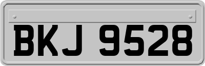 BKJ9528