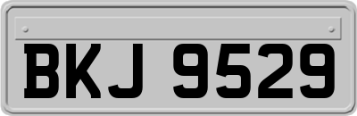 BKJ9529