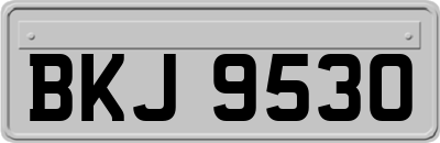 BKJ9530
