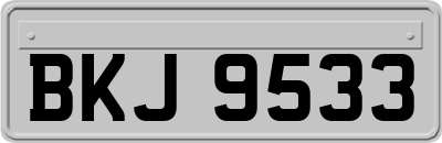 BKJ9533