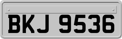 BKJ9536