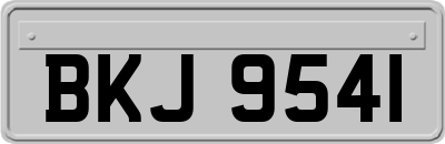 BKJ9541