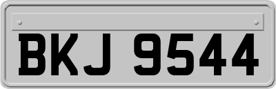 BKJ9544