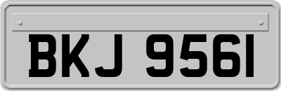 BKJ9561