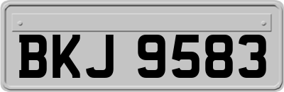 BKJ9583