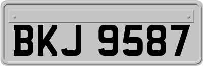BKJ9587