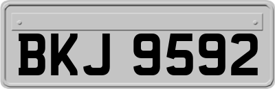 BKJ9592