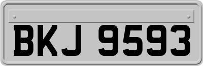 BKJ9593