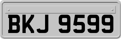 BKJ9599
