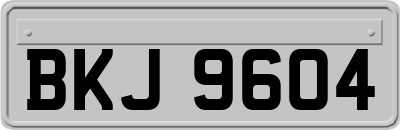 BKJ9604