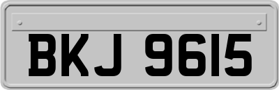 BKJ9615