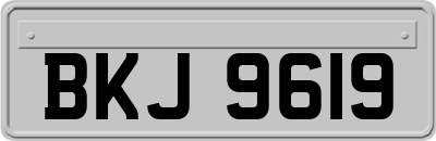 BKJ9619