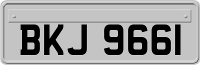 BKJ9661