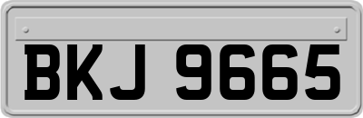 BKJ9665