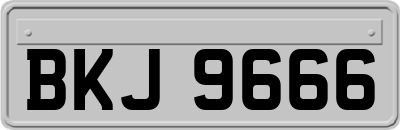 BKJ9666