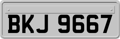 BKJ9667