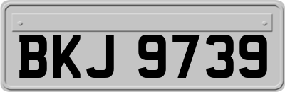 BKJ9739