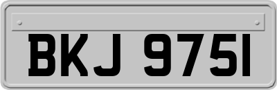 BKJ9751