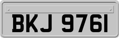 BKJ9761