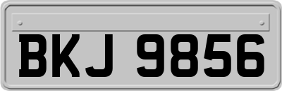BKJ9856