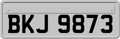 BKJ9873