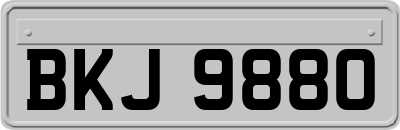 BKJ9880