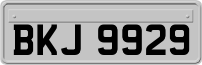 BKJ9929