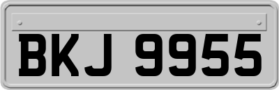 BKJ9955