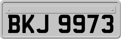 BKJ9973