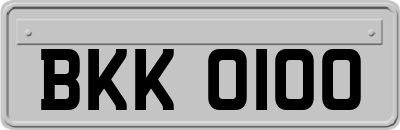 BKK0100