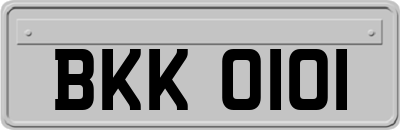 BKK0101