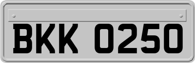 BKK0250