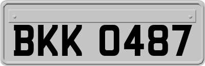 BKK0487