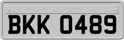 BKK0489