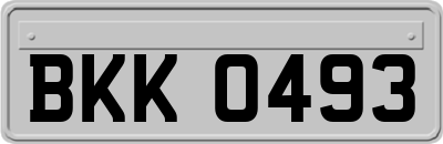 BKK0493