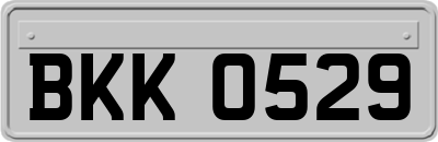 BKK0529
