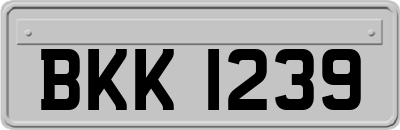 BKK1239