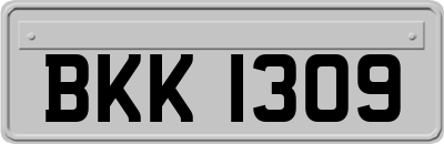 BKK1309