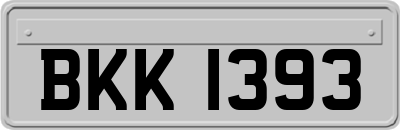 BKK1393