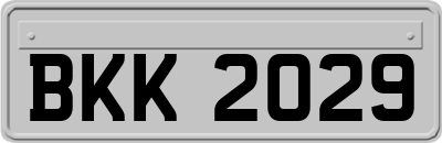 BKK2029